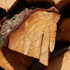 Stos pociętego drewna akacjowego, z widocznymi słojami i korą.