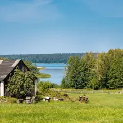 Działka rolno budowlana nad jeziorem, z drewnianą stodołą, pasieką i starym traktorem.