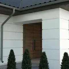 Nowoczesny dom z białymi panelami, drewnianymi drzwiami i rynną. Wokół rosną tuje, tworząc miły bonio.